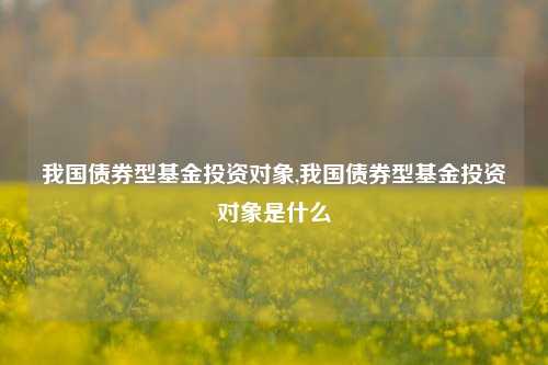 我国债券型基金投资对象,我国债券型基金投资对象是什么