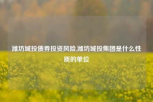 潍坊城投债券投资风险,潍坊城投集团是什么性质的单位