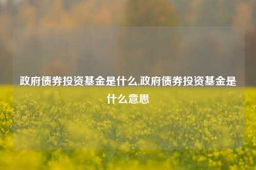 政府债券投资基金是什么,政府债券投资基金是什么意思