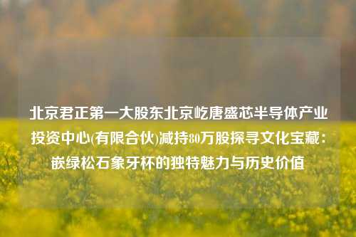 北京君正第一大股东北京屹唐盛芯半导体产业投资中心(有限合伙)减持80万股探寻文化宝藏：嵌绿松石象牙杯的独特魅力与历史价值