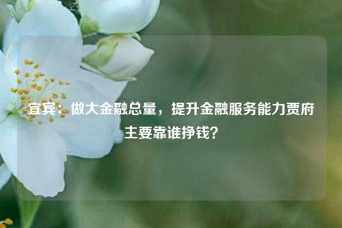 宜宾：做大金融总量，提升金融服务能力贾府主要靠谁挣钱？