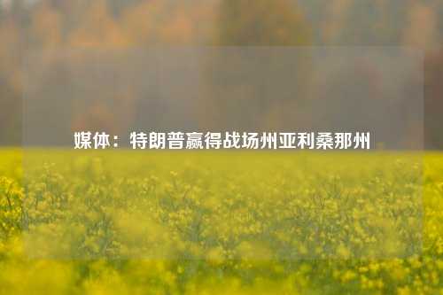 媒体：特朗普赢得战场州亚利桑那州