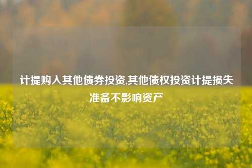 计提购入其他债券投资,其他债权投资计提损失准备不影响资产