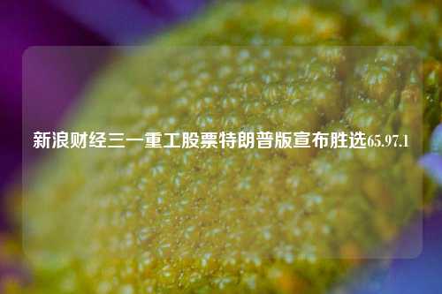 新浪财经三一重工股票特朗普版宣布胜选65.97.1