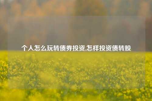 个人怎么玩转债券投资,怎样投资债转股