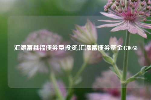 汇添富鑫福债券型投资,汇添富债券基金470058