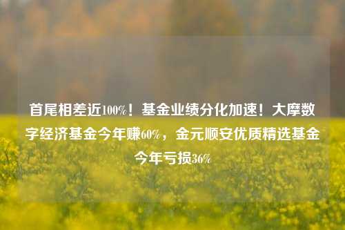 首尾相差近100%！基金业绩分化加速！大摩数字经济基金今年赚60%，金元顺安优质精选基金今年亏损36%