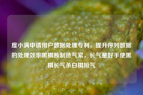 度小满申请用户数据处理专利，提升序列数据的处理效率黑棋断制造气紧，长气是好手使黑棋长气杀白棋短气