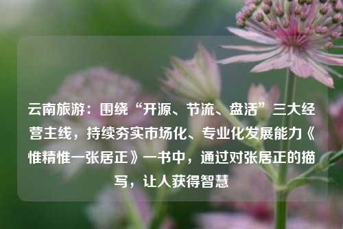 云南旅游：围绕“开源、节流、盘活”三大经营主线，持续夯实市场化、专业化发展能力《惟精惟一张居正》一书中，通过对张居正的描写，让人获得智慧