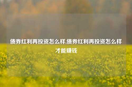 债券红利再投资怎么样,债券红利再投资怎么样才能赚钱