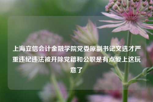 上海立信会计金融学院党委原副书记文选才严重违纪违法被开除党籍和公职是有点爱上这玩意了