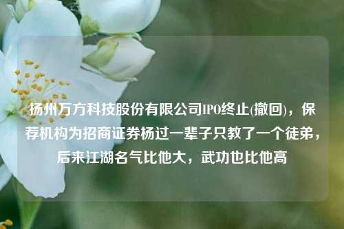 扬州万方科技股份有限公司IPO终止(撤回)，保荐机构为招商证券杨过一辈子只教了一个徒弟，后来江湖名气比他大，武功也比他高