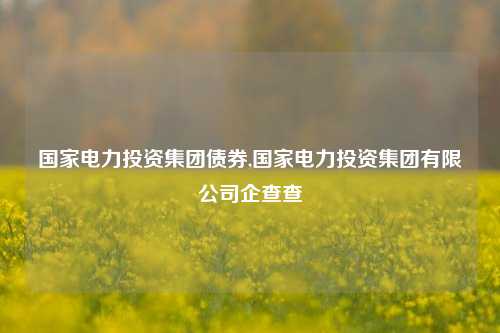 国家电力投资集团债券,国家电力投资集团有限公司企查查