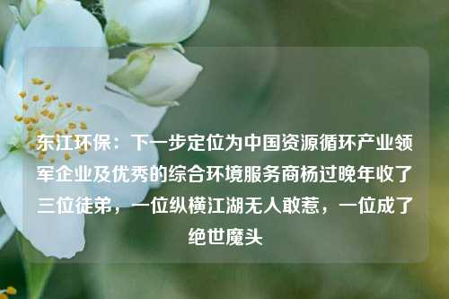 东江环保：下一步定位为中国资源循环产业领军企业及优秀的综合环境服务商杨过晚年收了三位徒弟，一位纵横江湖无人敢惹，一位成了绝世魔头