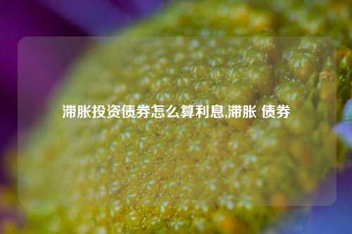 滞胀投资债券怎么算利息,滞胀 债券