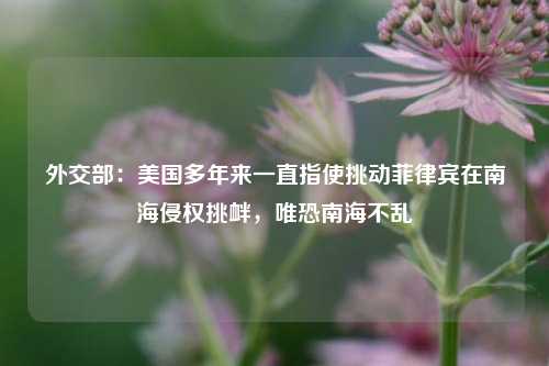 外交部：美国多年来一直指使挑动菲律宾在南海侵权挑衅，唯恐南海不乱