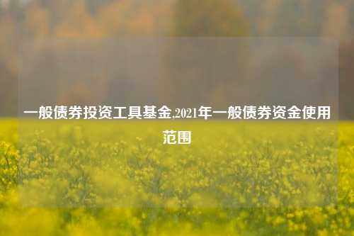 一般债券投资工具基金,2021年一般债券资金使用范围