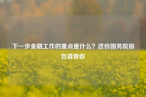 下一步金融工作的重点是什么？这份国务院报告请查收