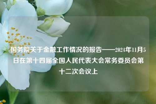 国务院关于金融工作情况的报告——2024年11月5日在第十四届全国人民代表大会常务委员会第十二次会议上