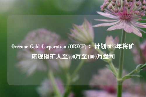 Orezone Gold Corporation (ORZCF) ：计划2025年将矿床规模扩大至700万至1000万盎司