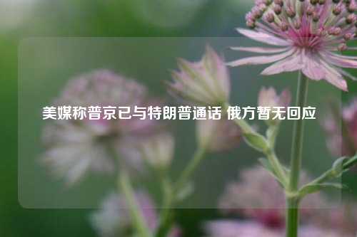 美媒称普京已与特朗普通话 俄方暂无回应