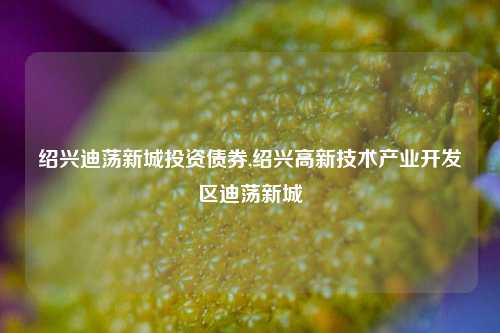 绍兴迪荡新城投资债券,绍兴高新技术产业开发区迪荡新城