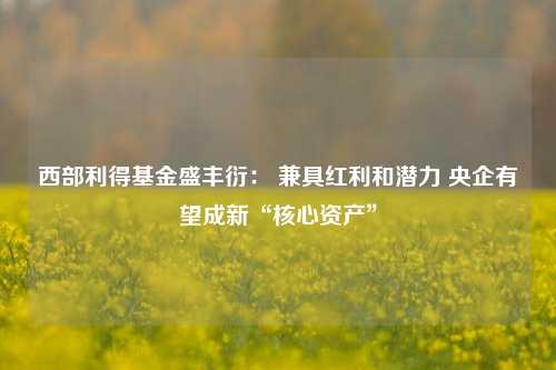 西部利得基金盛丰衍： 兼具红利和潜力 央企有望成新“核心资产”