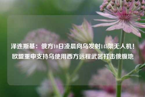 泽连斯基：俄方10日凌晨向乌发射145架无人机！欧盟重申支持乌使用西方远程武器打击俄腹地