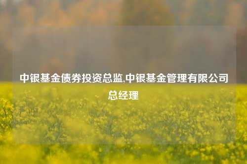 中银基金债券投资总监,中银基金管理有限公司总经理