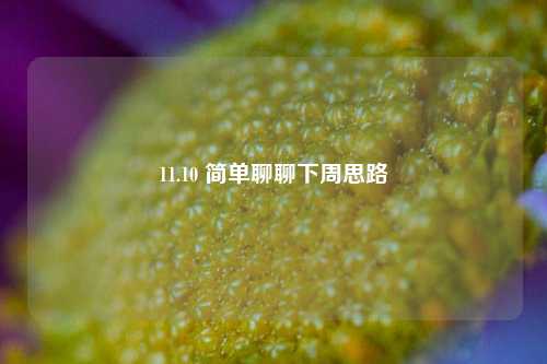 11.10 简单聊聊下周思路