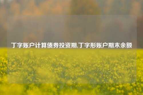 丁字账户计算债券投资期,丁字形账户期末余额