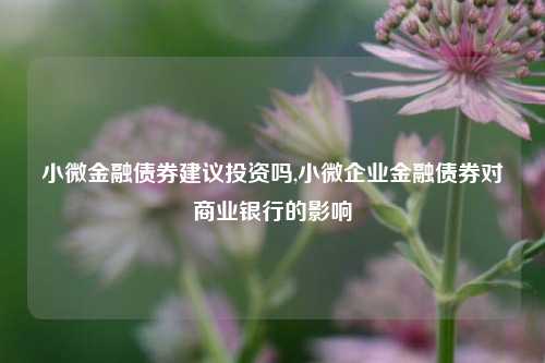 小微金融债券建议投资吗,小微企业金融债券对商业银行的影响