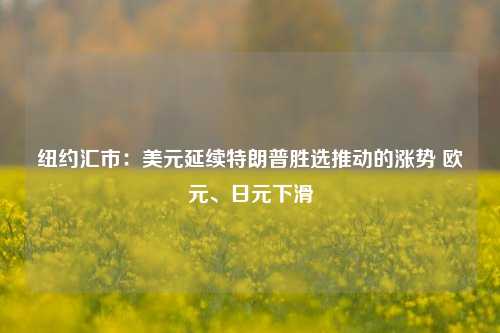 纽约汇市：美元延续特朗普胜选推动的涨势 欧元、日元下滑