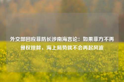 外交部回应菲防长涉南海言论：如果菲方不再侵权挑衅，海上局势就不会再起风波