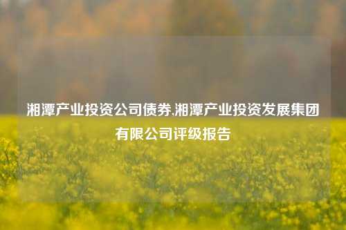 湘潭产业投资公司债券,湘潭产业投资发展集团有限公司评级报告