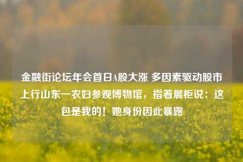 金融街论坛年会首日A股大涨 多因素驱动股市上行山东一农妇参观博物馆，指着展柜说：这包是我的！她身份因此暴露