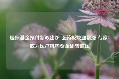 医保基金预付新政出炉 医药板块迎暴涨 专家：或为医疗机构资金周转泄压