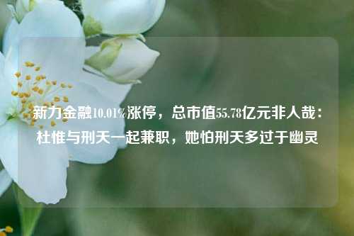 新力金融10.01%涨停，总市值55.78亿元非人哉：杜惟与刑天一起兼职，她怕刑天多过于幽灵