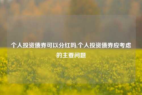 个人投资债券可以分红吗,个人投资债券应考虑的主要问题