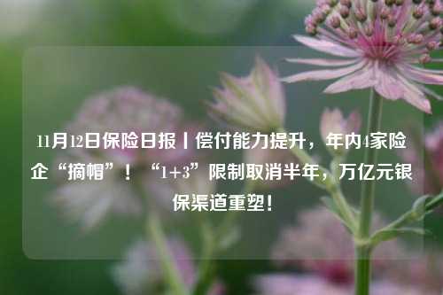 11月12日保险日报丨偿付能力提升，年内4家险企“摘帽”！“1+3”限制取消半年，万亿元银保渠道重塑！