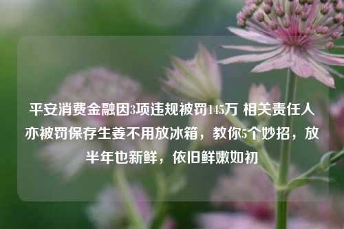 平安消费金融因3项违规被罚145万 相关责任人亦被罚保存生姜不用放冰箱，教你5个妙招，放半年也新鲜，依旧鲜嫩如初