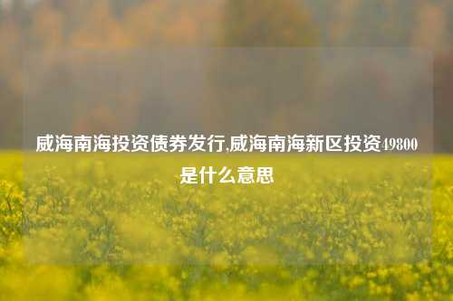 威海南海投资债券发行,威海南海新区投资49800是什么意思