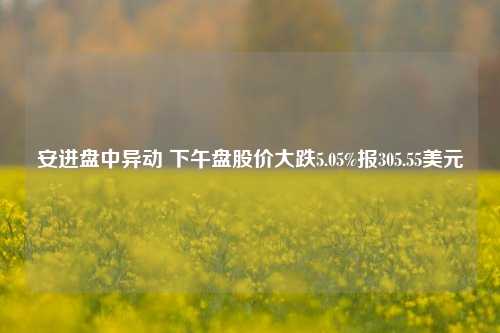 安进盘中异动 下午盘股价大跌5.05%报305.55美元