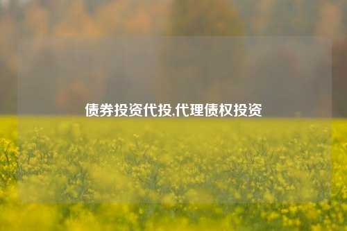 债券投资代投,代理债权投资