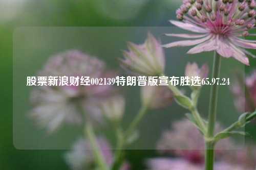 股票新浪财经002139特朗普版宣布胜选65.97.24