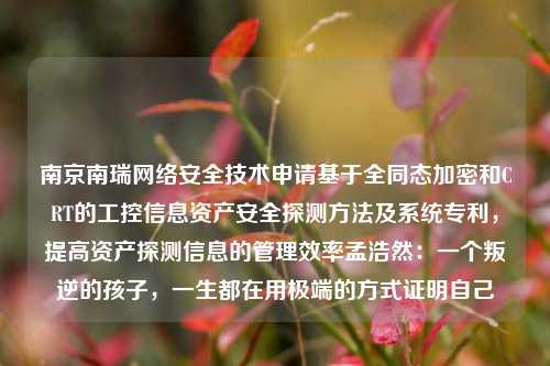 南京南瑞网络安全技术申请基于全同态加密和CRT的工控信息资产安全探测方法及系统专利，提高资产探测信息的管理效率孟浩然：一个叛逆的孩子，一生都在用极端的方式证明自己