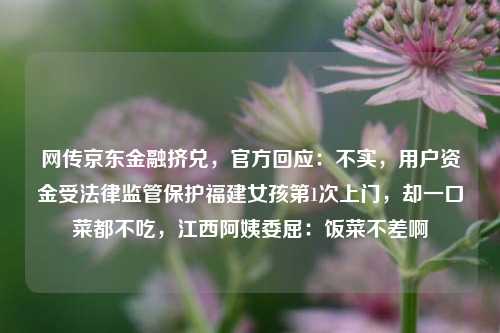 网传京东金融挤兑，官方回应：不实，用户资金受法律监管保护福建女孩第1次上门，却一口菜都不吃，江西阿姨委屈：饭菜不差啊