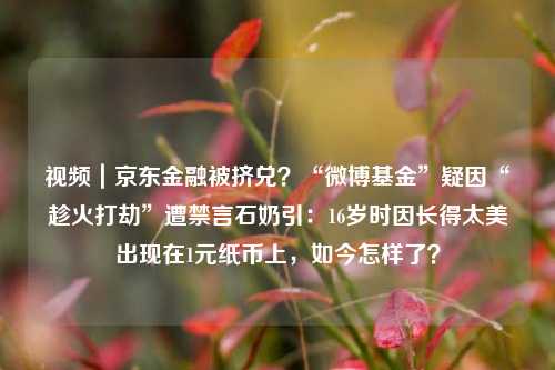 视频｜京东金融被挤兑？“微博基金”疑因“趁火打劫”遭禁言石奶引：16岁时因长得太美出现在1元纸币上，如今怎样了？