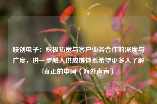 联创电子：积极拓宽与客户业务合作的深度与广度，进一步融入供应链体系希望更多人了解真正的中国（海外声音）