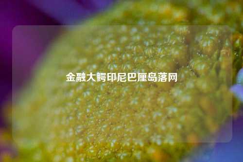 金融大鳄印尼巴厘岛落网